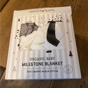 Baby milestone blanket